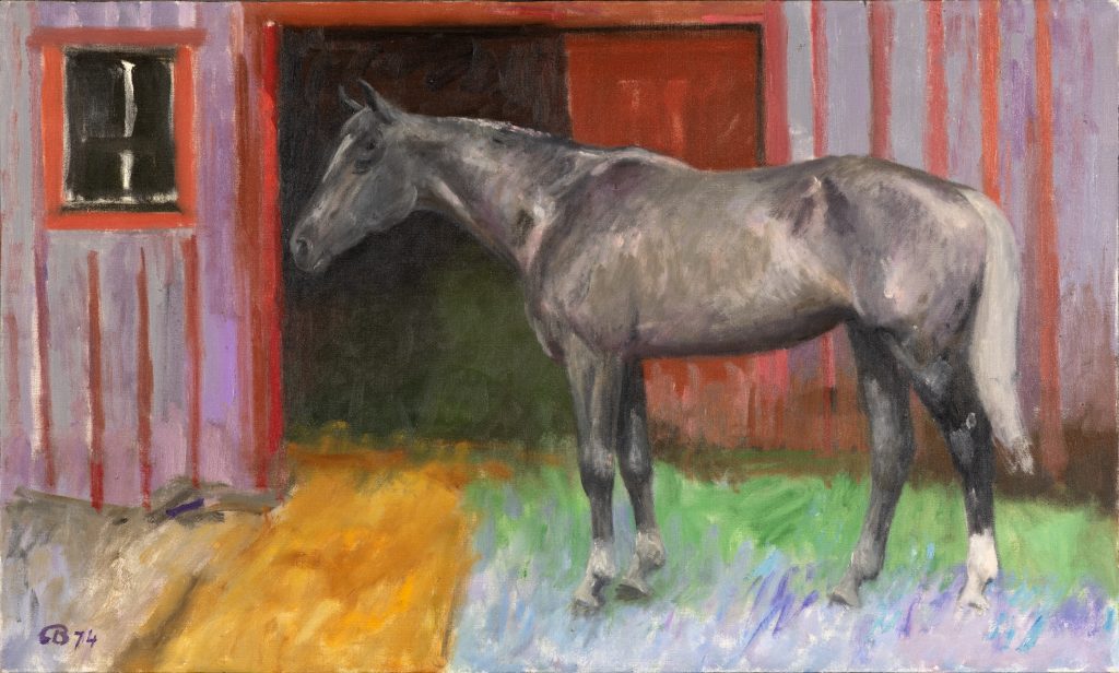 A brown and gray horse stands on top of green, blue, and yellow grass outside a red and purple barn. 