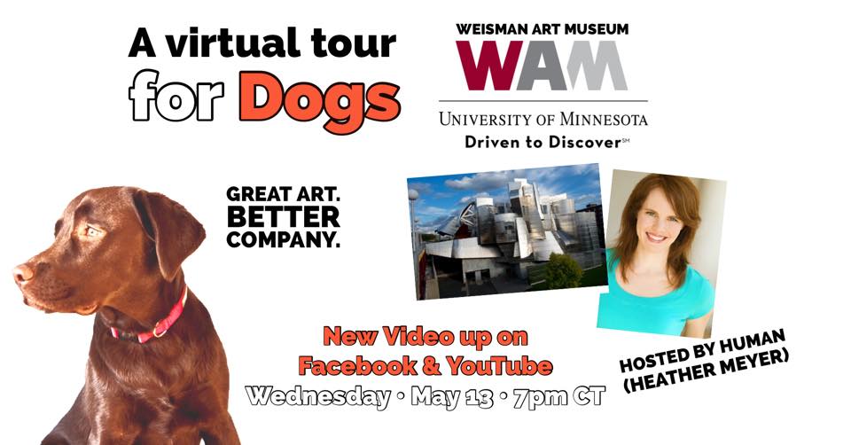 Virtual dog tour poster