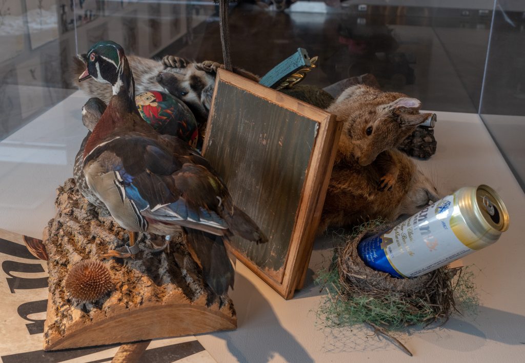 Denizens of Shoreham Yards in a diorama created, in part, with objects on loan from the University of Minnesota's Bell Museum.