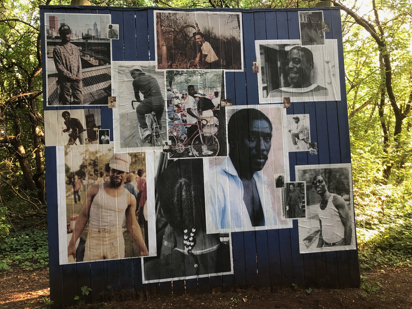 A black poster with photographs pinned to it