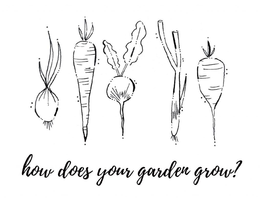"how does your garden grow" underneath drawings of vegetables