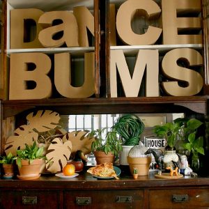 DaNCEBUMS featured image for "It’s all Real. It’s all Fake. It’s all DaNCEBUMS", with pieces of wood cut out spelling "D-a-N-C-E-B-U-M-S" on a dining room shelf, surrounded by houseplants.