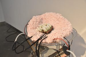 Bowl of pink fuzzy material with electronic probes.