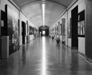 Large photos in a hallway