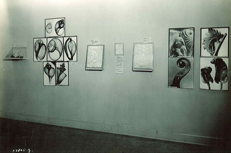 Line of artwork on the wall