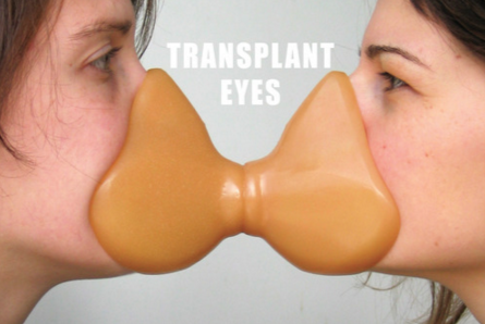 Transplant eyes