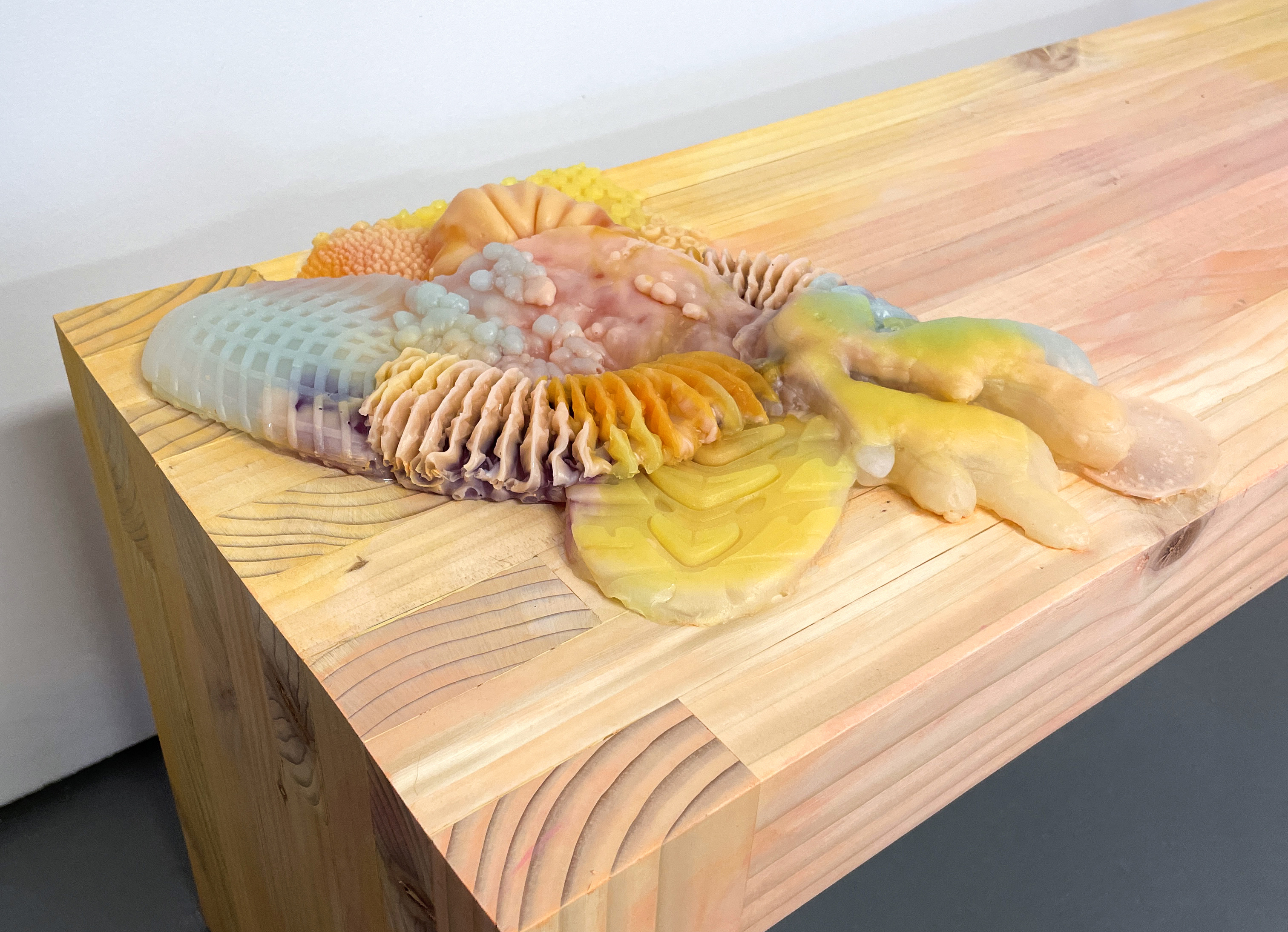 A simply constructed, natural pine bench with gelatinous, multi-colored sculptures laid on either side. The sculptural elements invite touch as they are highly textural.