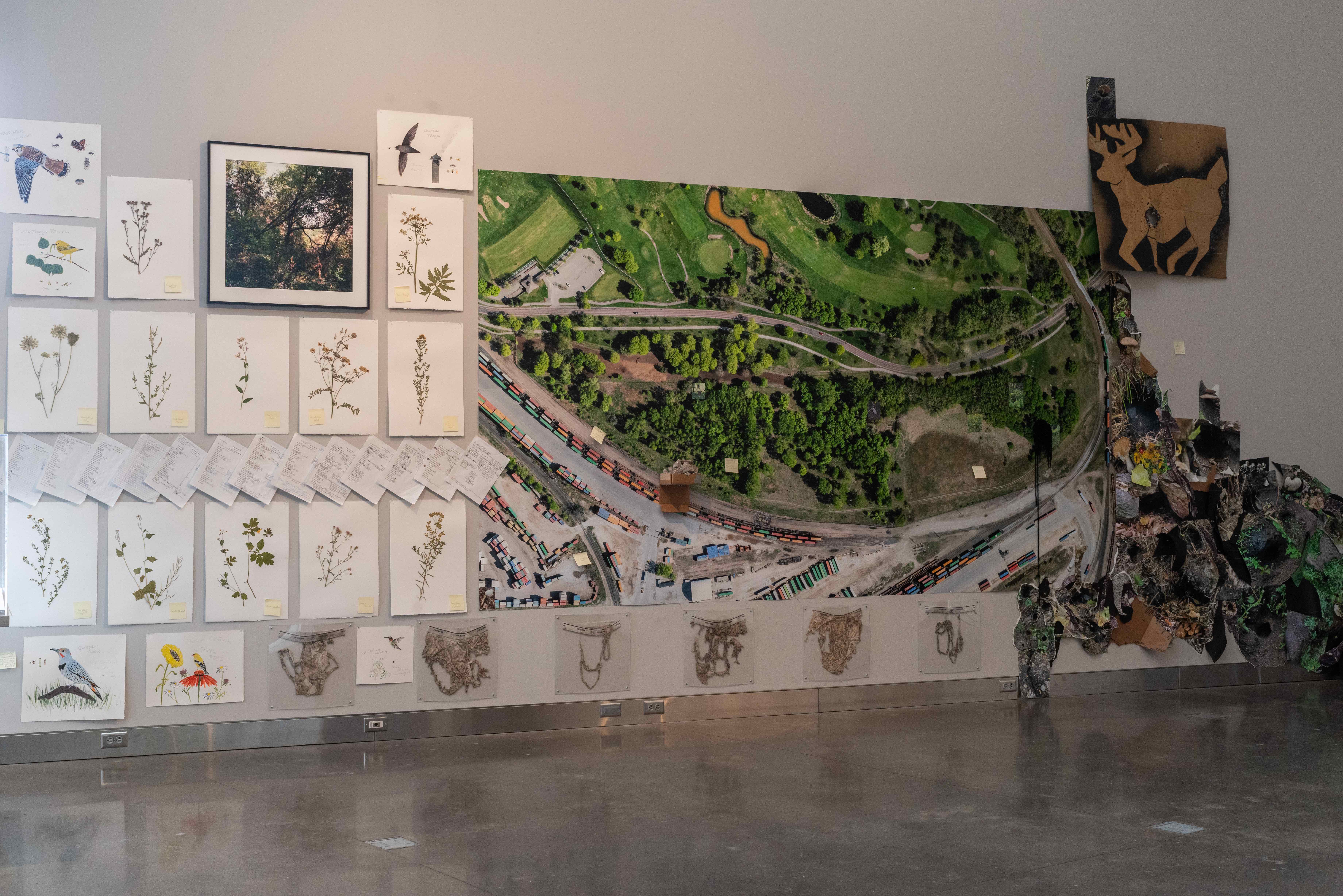 Installation photo of field ecology by the artist at Shoreham Yards