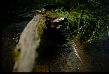 Harp strings attached to a wood and metal piece are submerged in forest stream, surrounded by moss and logs.