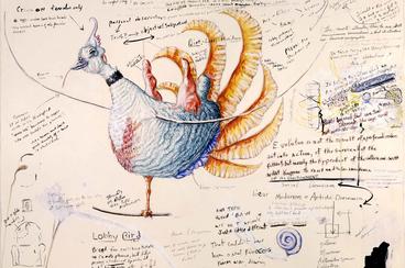 illiustration of a bird with field notes surrounding it